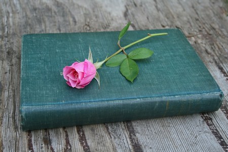 A rose on top of a book
