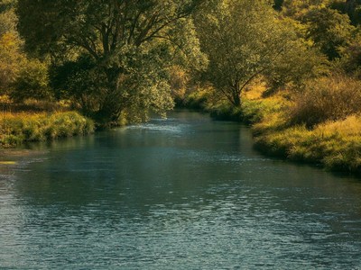 A calm river with trees surrounding