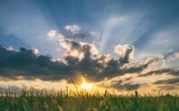 The sunset or sunrise between clouds and a field of grass