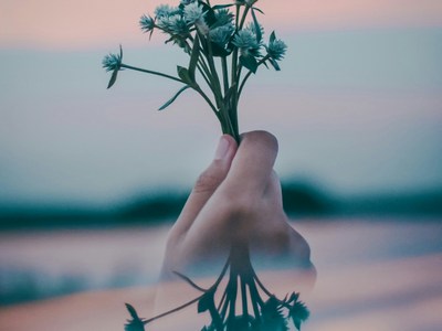Hand holding flowers with a reflection